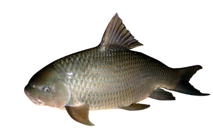 1556509612(1).png