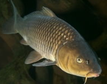 1564974925.png 1564974925.png