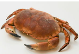 1565415603(1).png