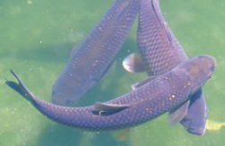 1566270430(1).png