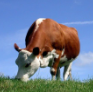 1566270600(1).png