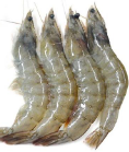 1571126239(1).png