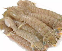 1589962571(1).png